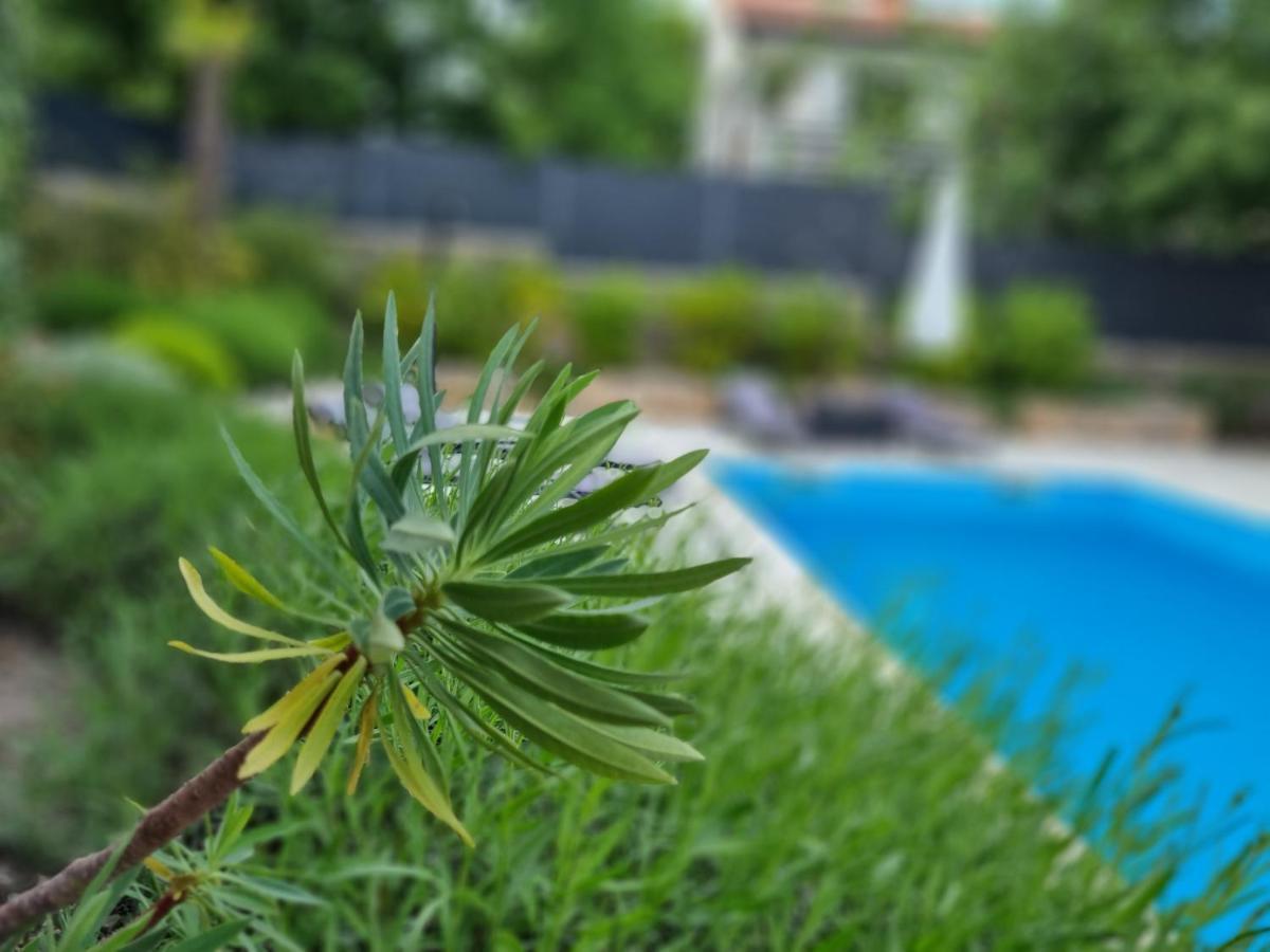 Villa Bellina Muraj Корнич Экстерьер фото